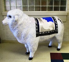 Baaptist Sheep